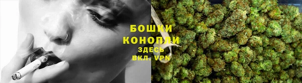 твердый Ростов