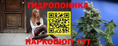 ПСИЛОЦИБИНОВЫЕ ГРИБЫ Гай