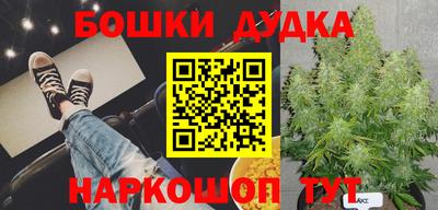 сатива Гатчина