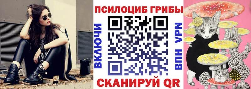 kraken рабочий сайт  даркнет сайт  Карачаевск  Галлюциногенные грибы Psilocybine cubensis 