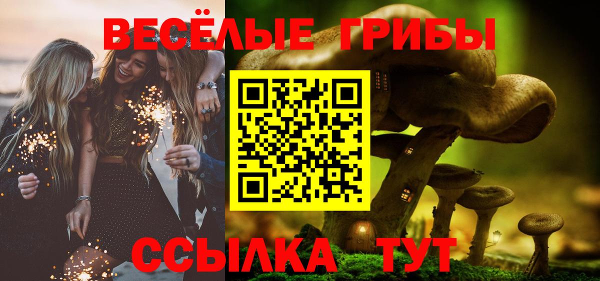 Псилоцибиновые грибы Psilocybine cubensis  Вход с VPN  Галлюциногенные грибы GOLDEN TEACHER  Карачаевск 