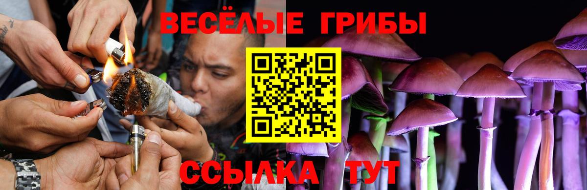 Галлюциногенные грибы MAGIC MUSHROOMS Карачаевск